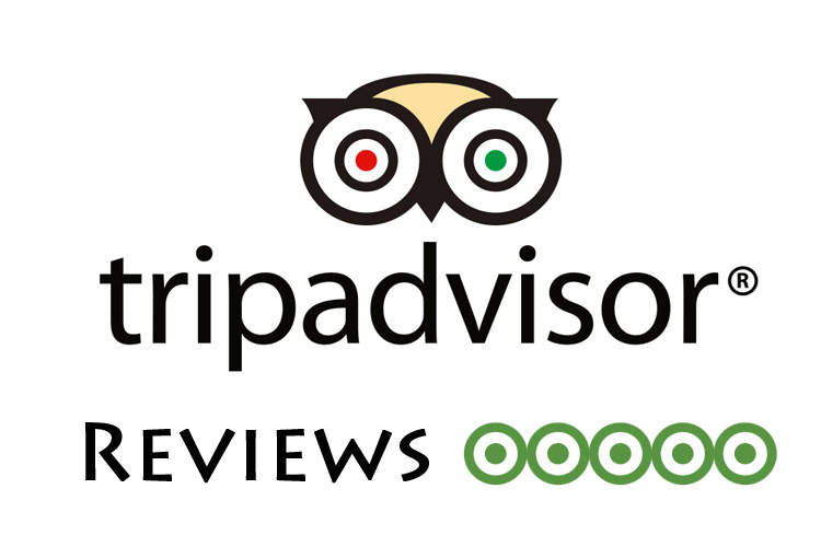 Tripadvisor reviews on Mox Vox The Restro in Jodhpur